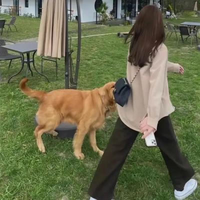 彩虹制造者