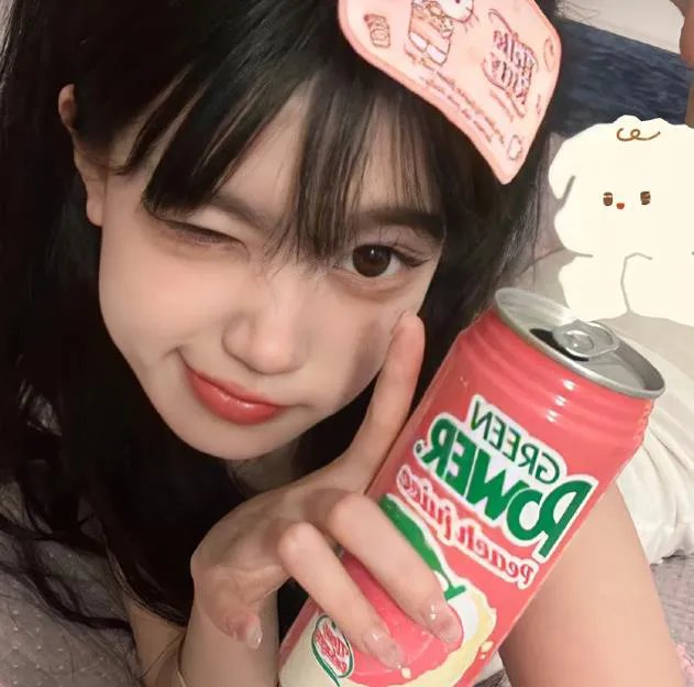 动画纪录